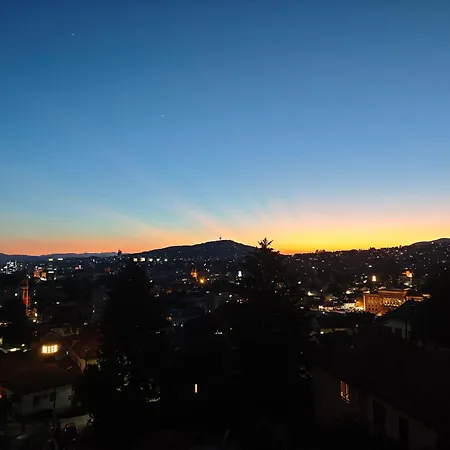 The View *