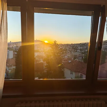 The View